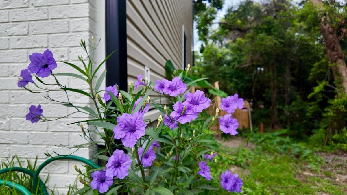 Cozy Townhome Retreat With King Bed Near I-10, Capitol, Fsu & Famu Талахаси Екстериор снимка